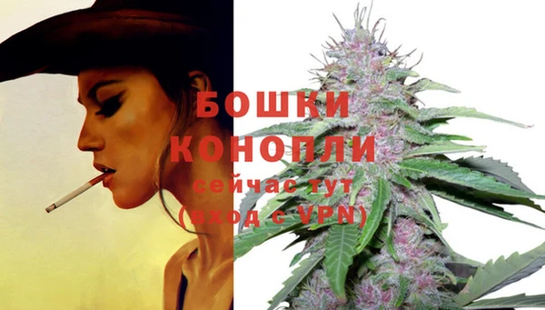 ГАЛЛЮЦИНОГЕННЫЕ ГРИБЫ Верхний Тагил